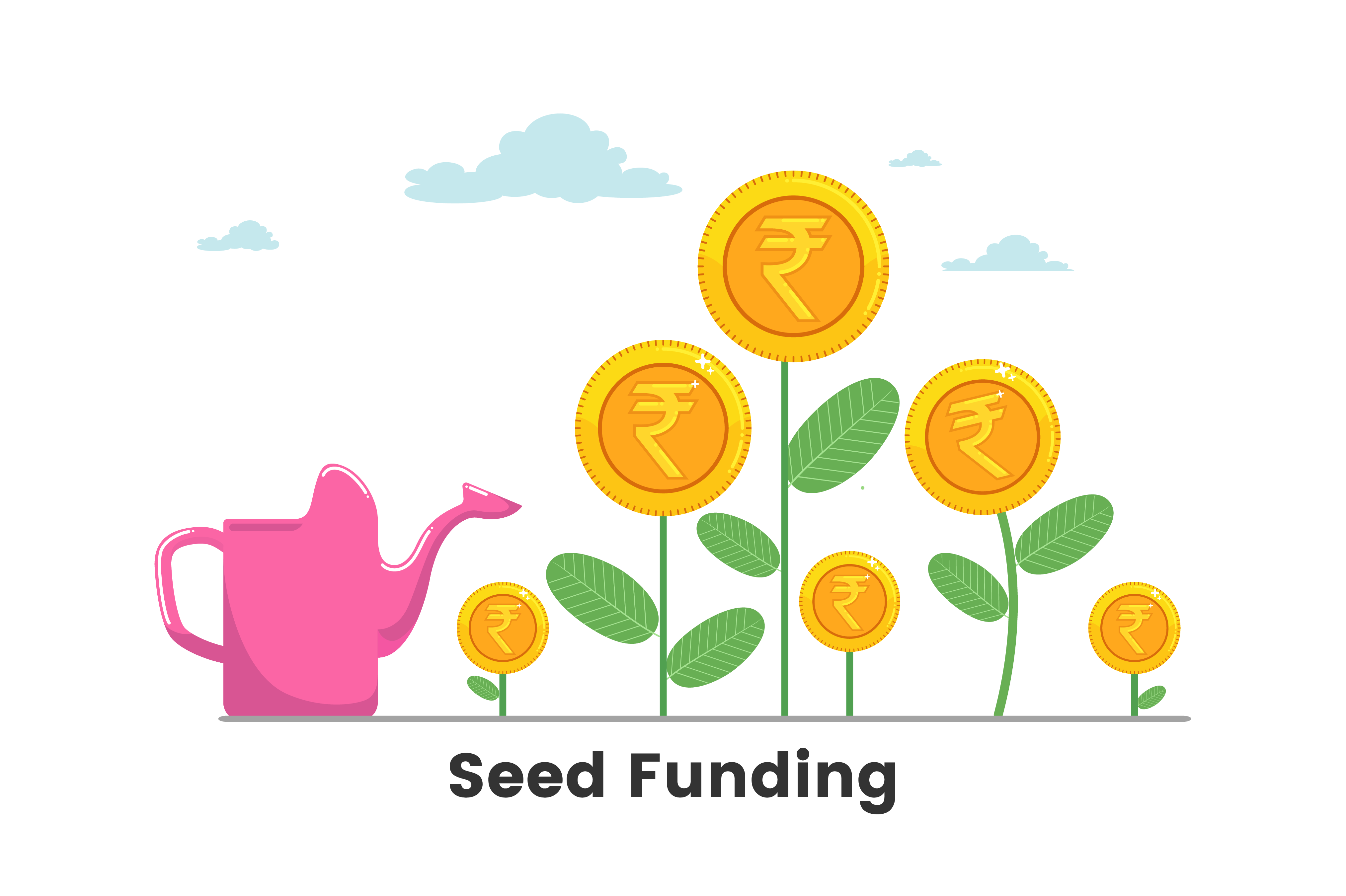 What is Seed Funding & it's types?